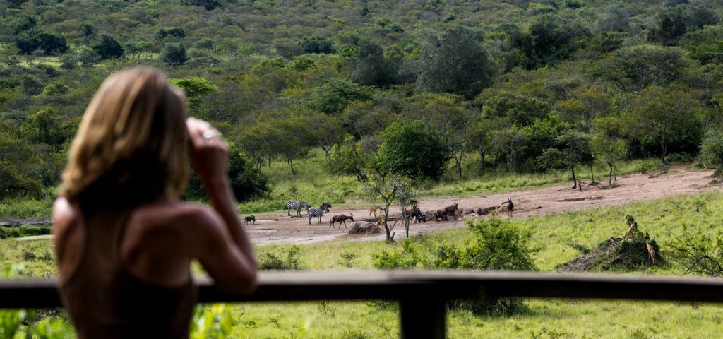 eploring-best-african-safari-destionations