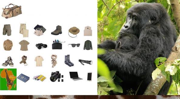 What to Pack for Gorilla Trekking