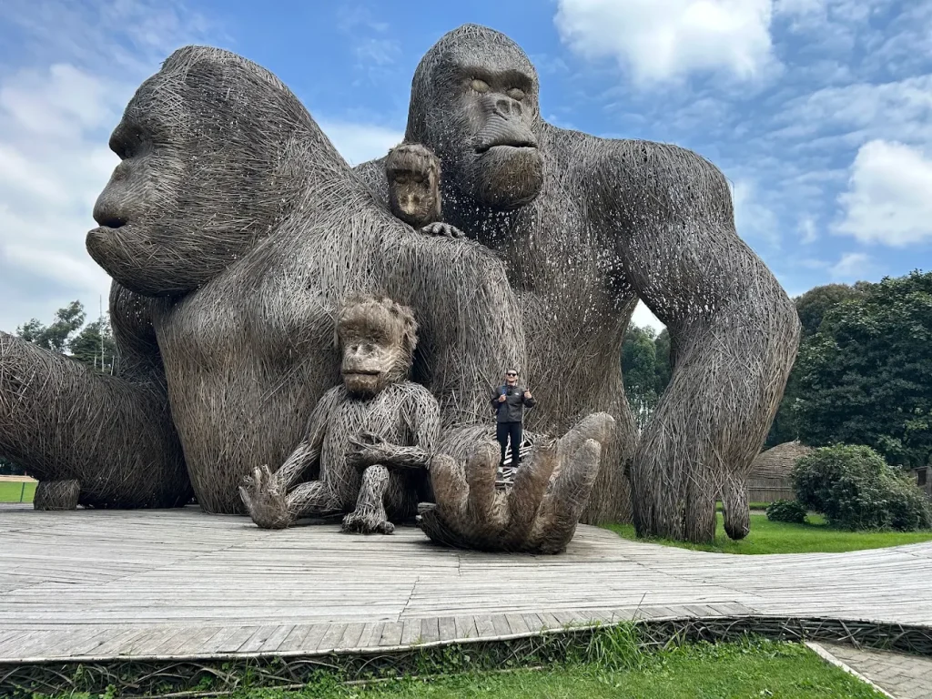 gorilla trekking