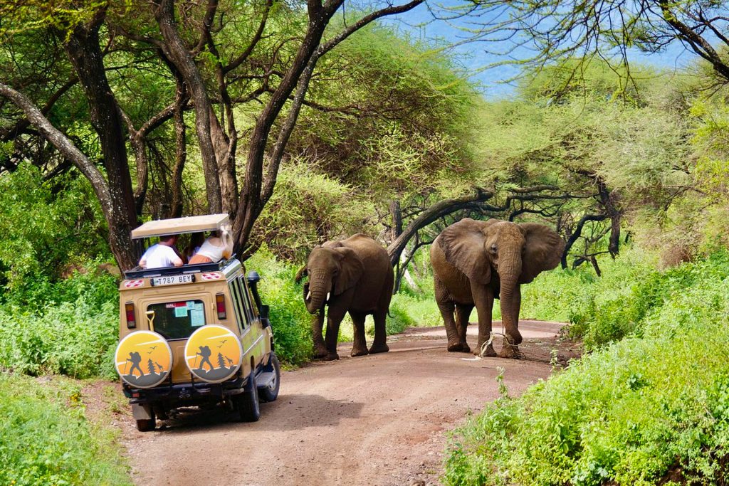 tanzania-wildlife-safaris