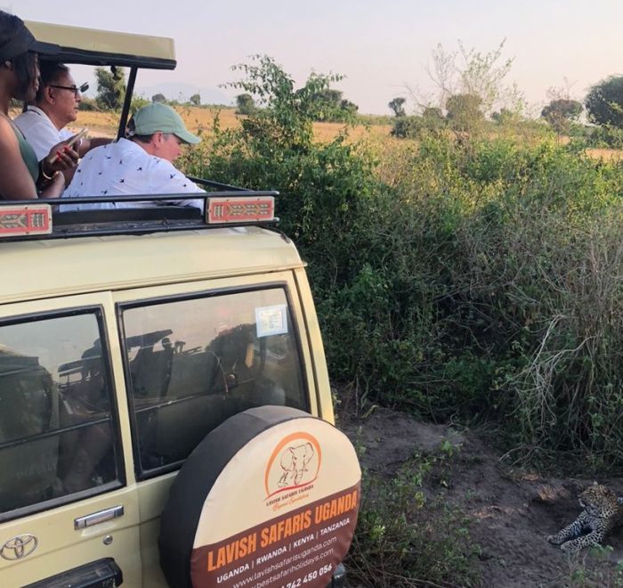 best safari