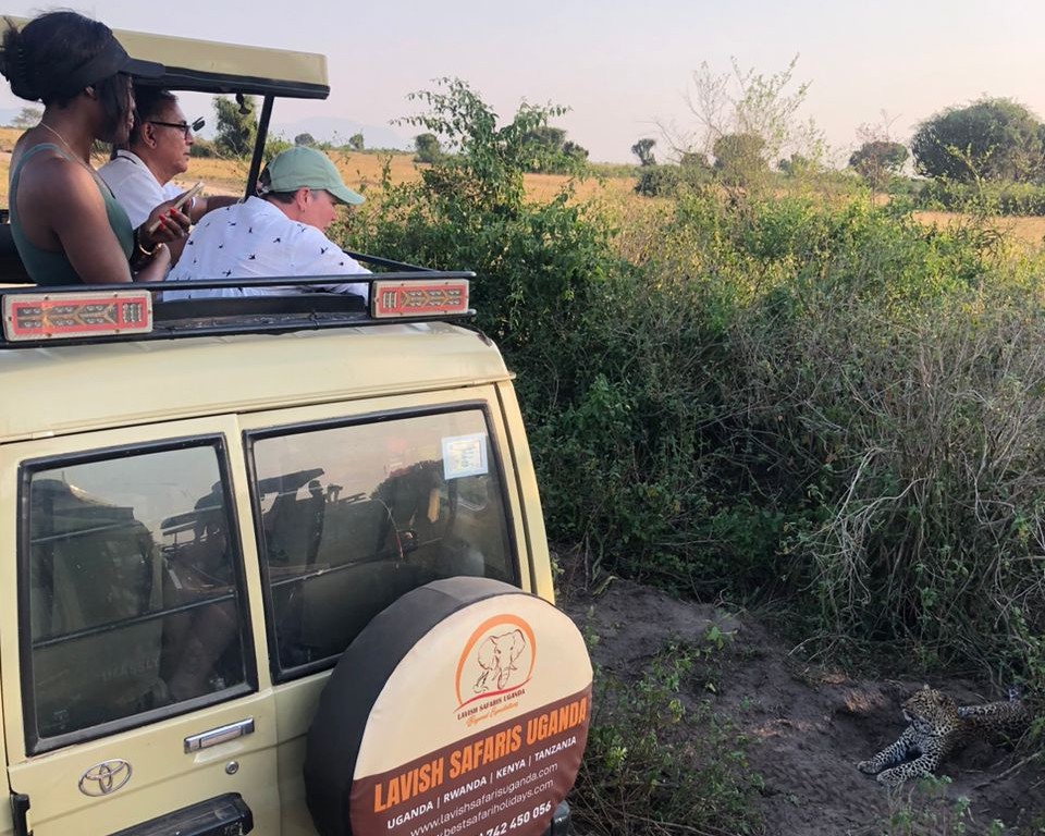 lavish safaris uganda