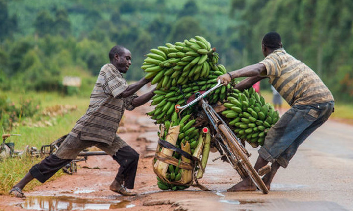 matooke in uganda