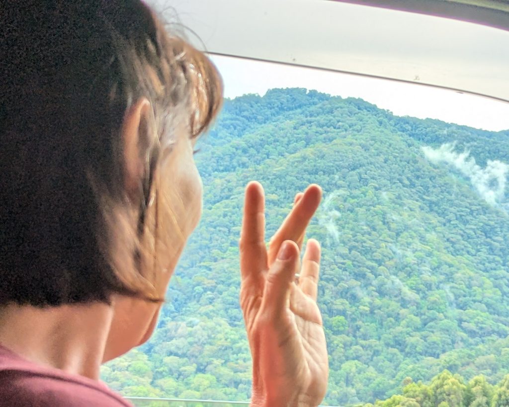 Bwindi Impenetable view