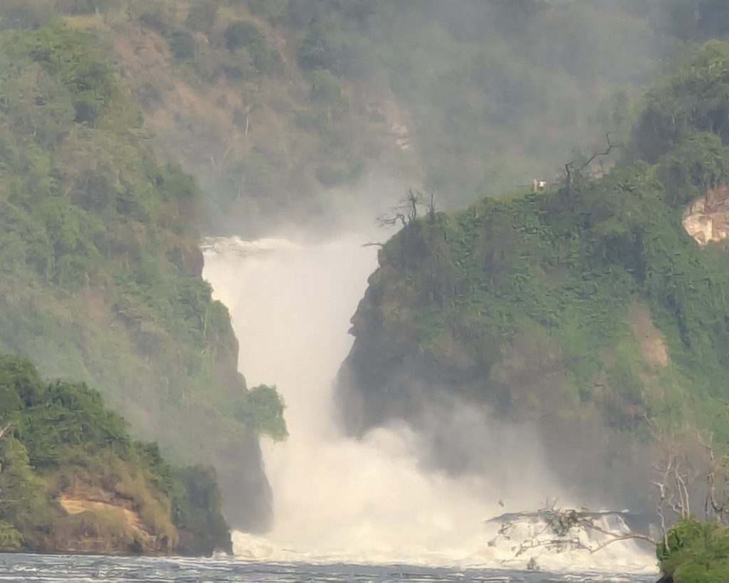 Murchison falls