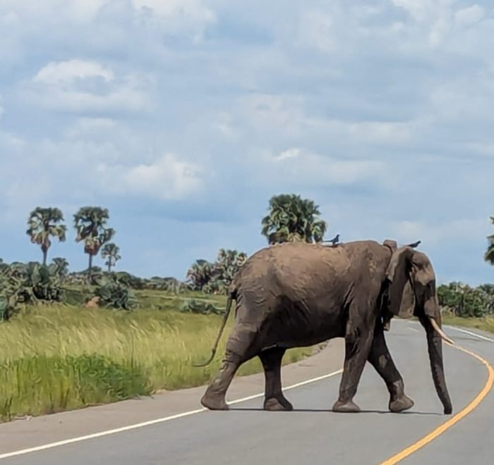 Pan-Africa Destinations