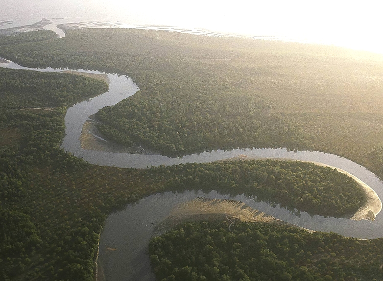 Saadani National Park