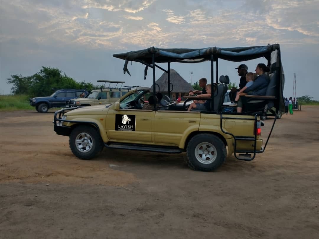 Safari Holidays and Adventure