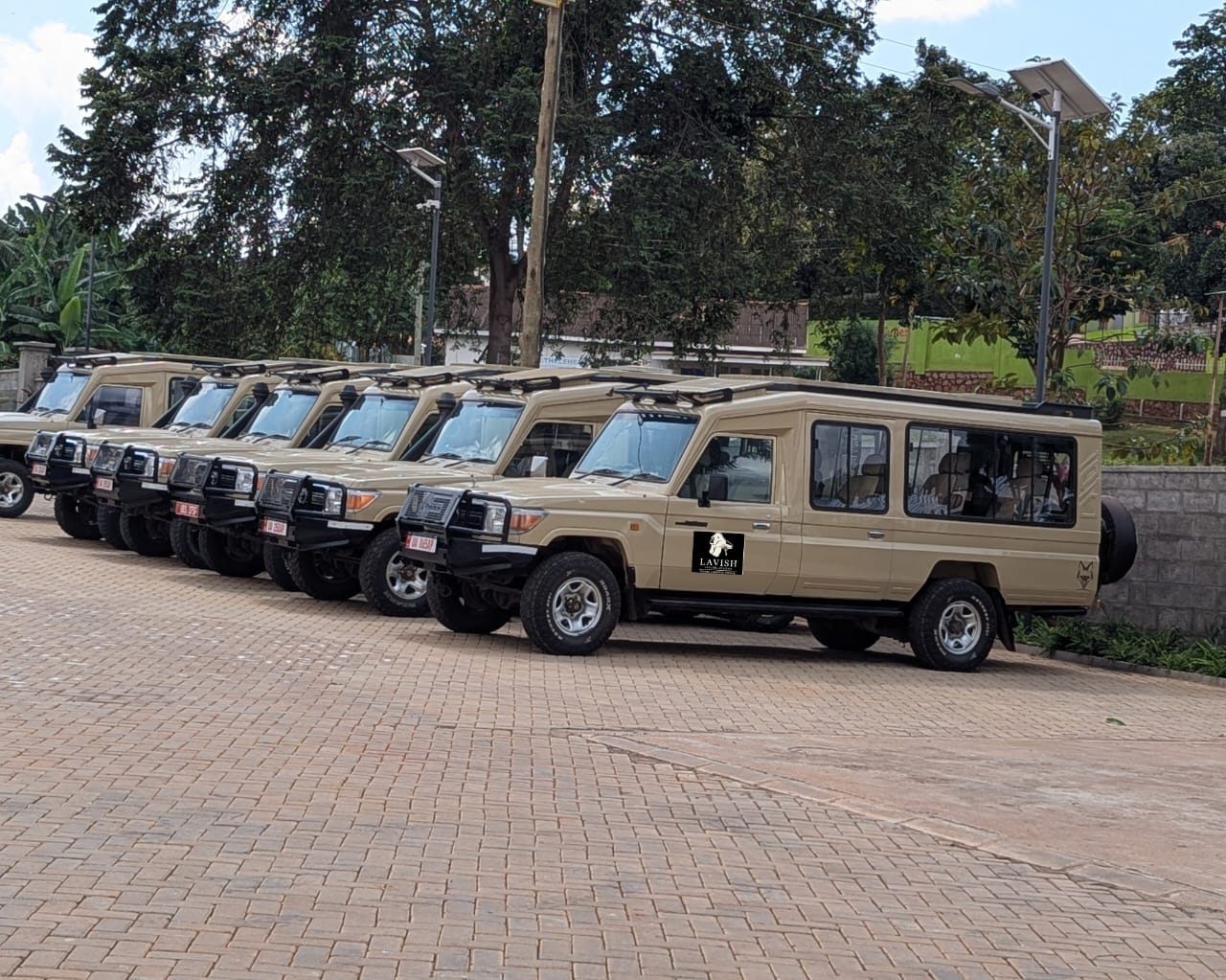 The Best Luxury Solo Safaris