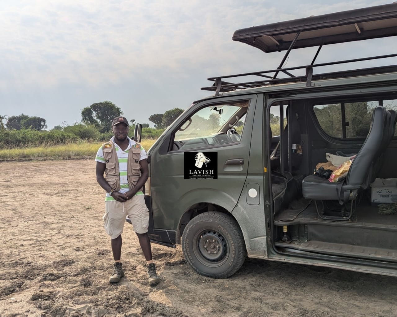 The Best Safari Destinations in Africa