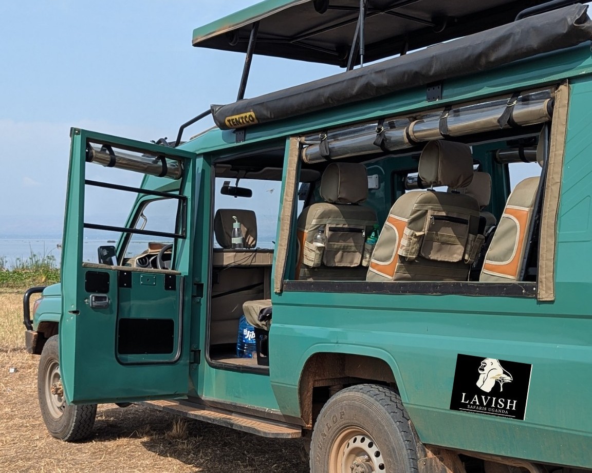 The Best Short Luxury Safaris