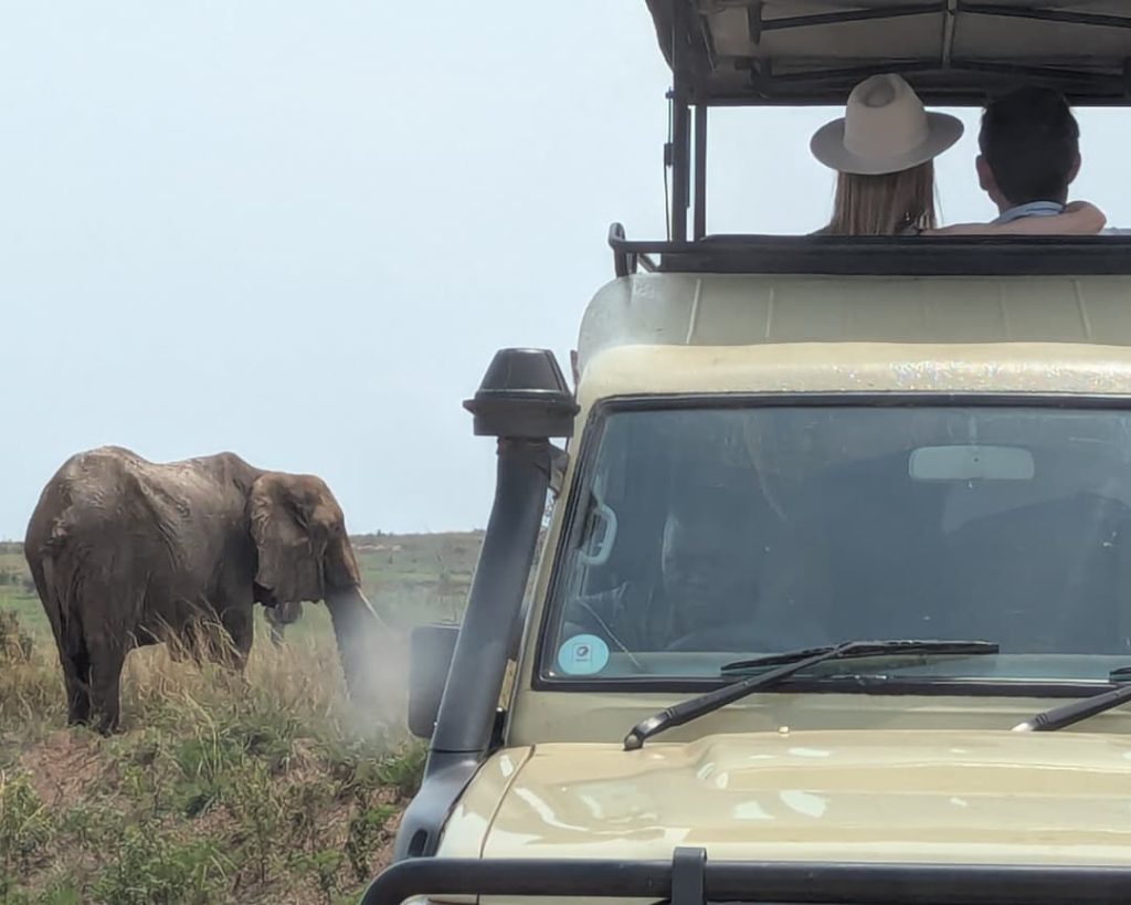 Romantic safari Honeymoon