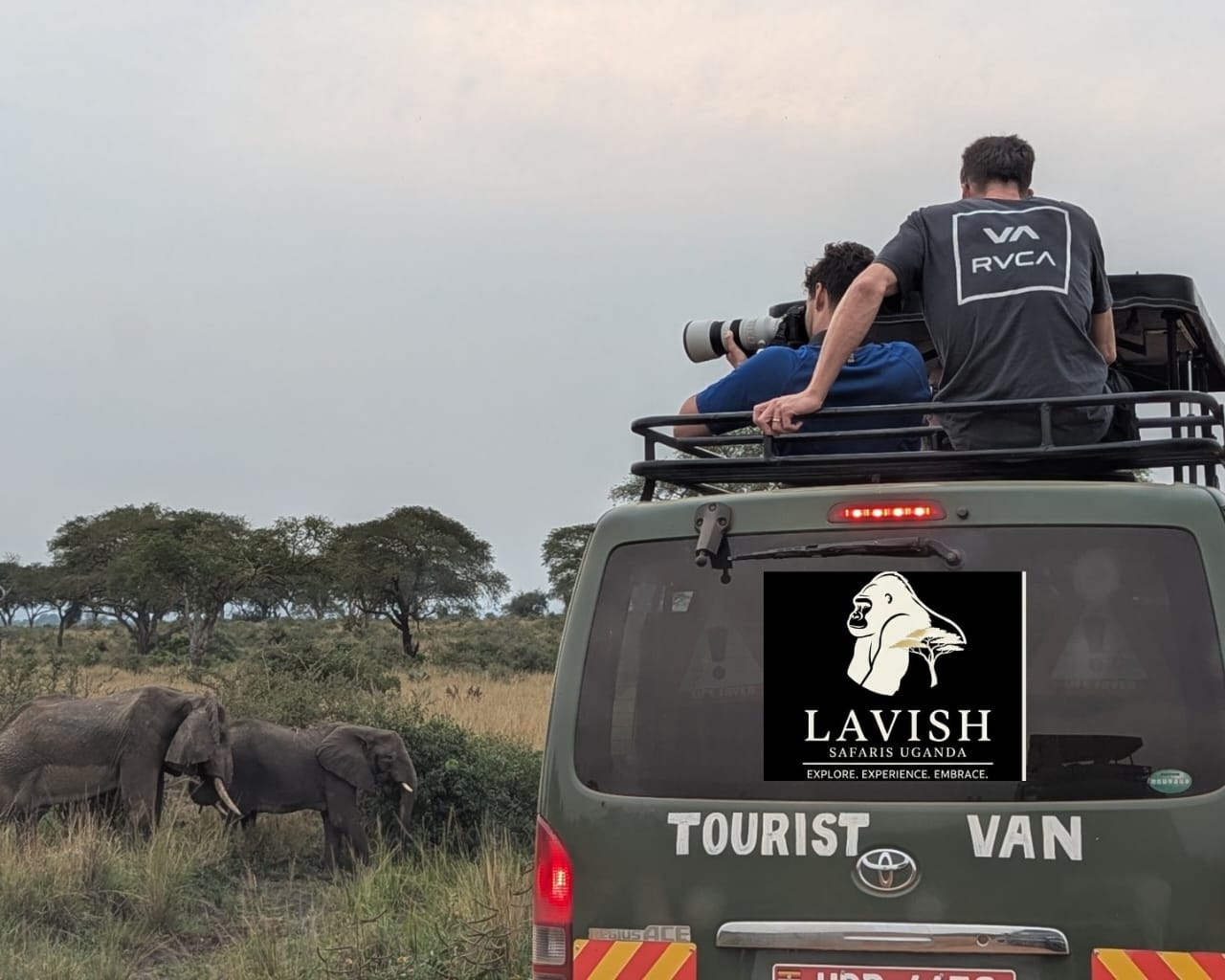 Which Country Is the Best for Safari in Africa