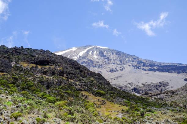 kilimanjaro