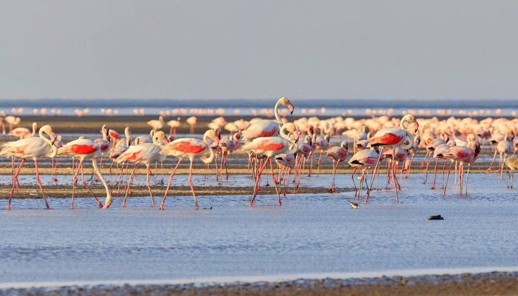 Lake natron tanzania