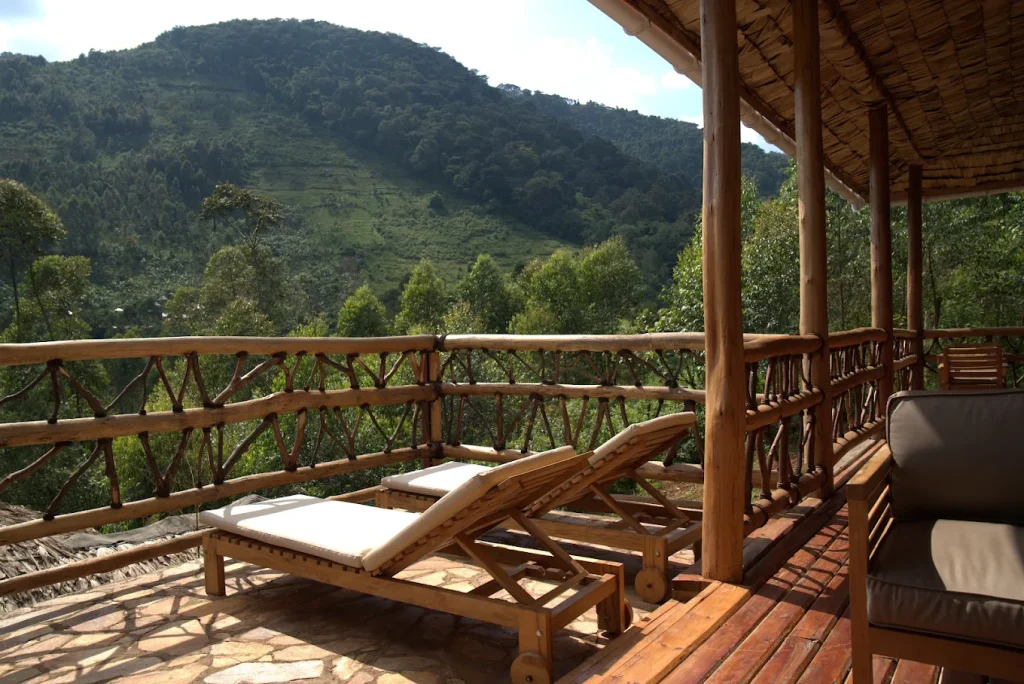 Bwindi impenetrable
