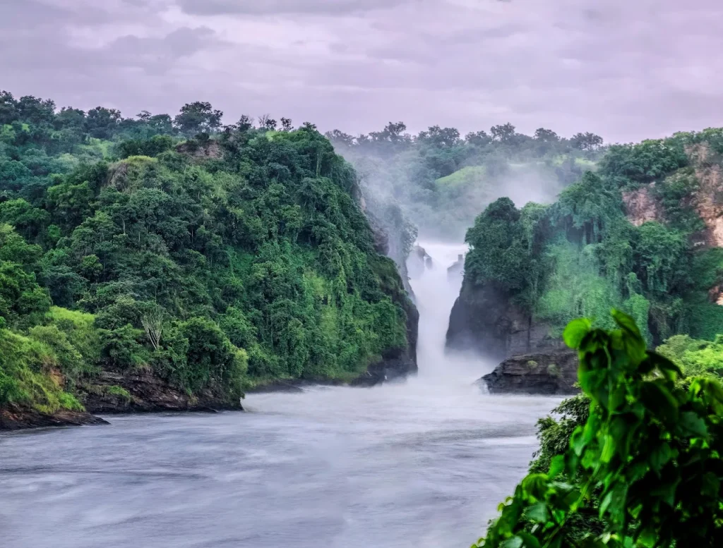Bottom of the falls