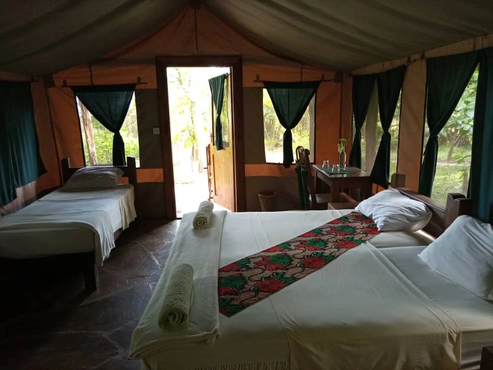 comfort accommodation
