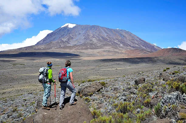 Best of kilimanjaro