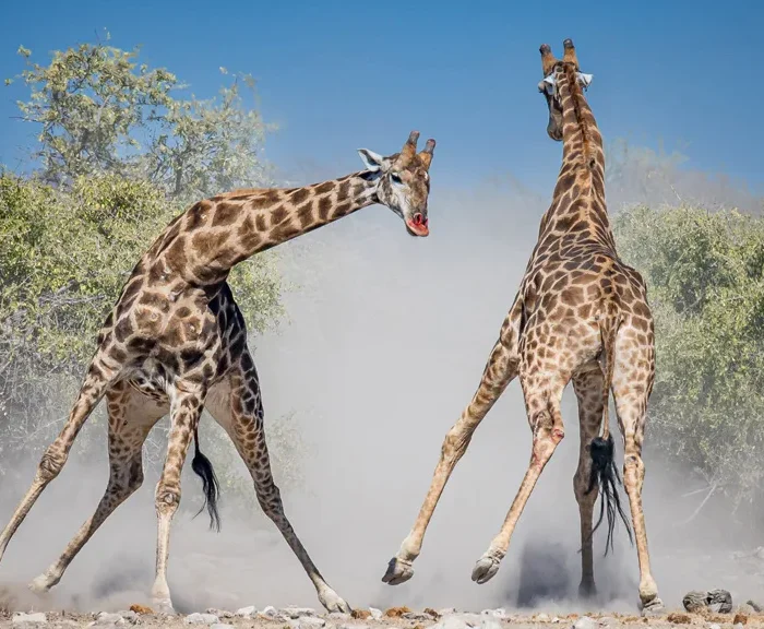 tanzania adventure