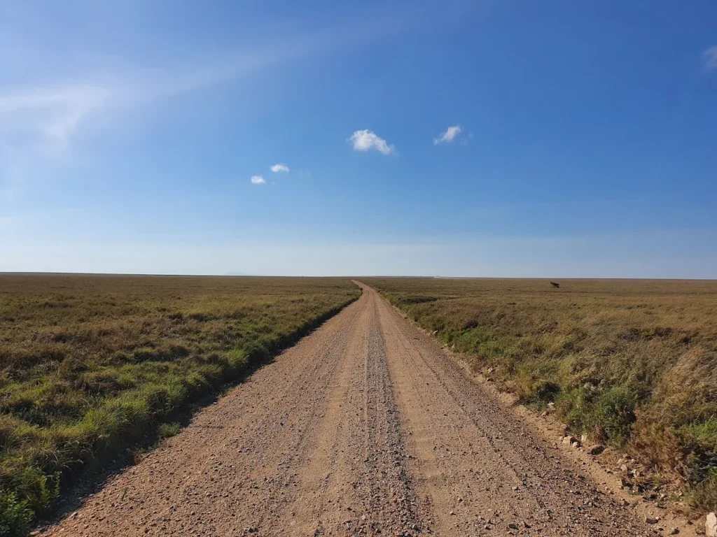 Tarangire National Park