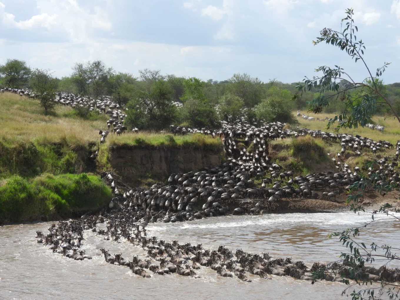 The Great Migration Tanzania safari