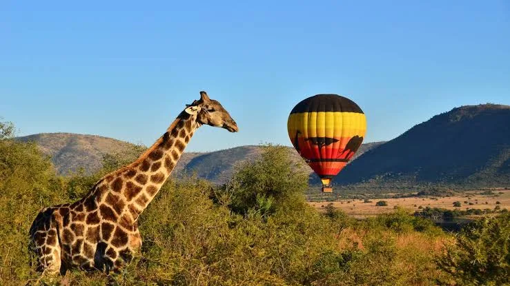 Serengeti Nationanal Park