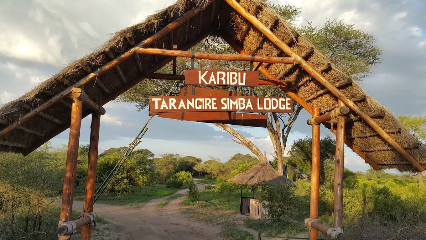Things to do in tanzania