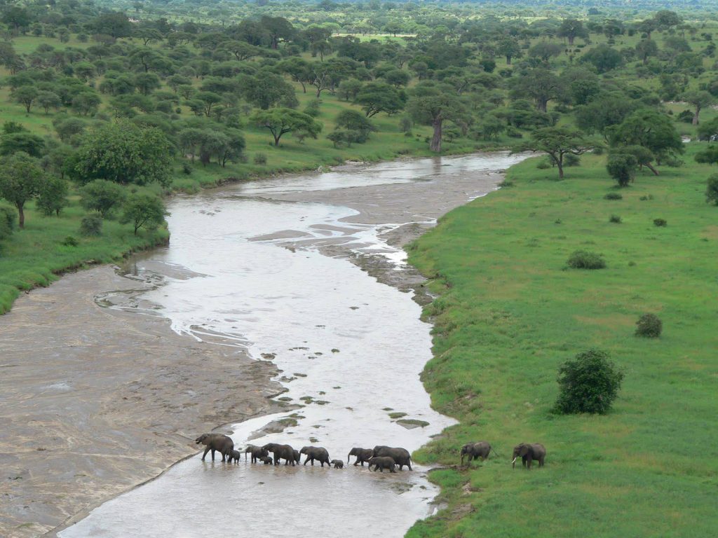 Tarangire National Park