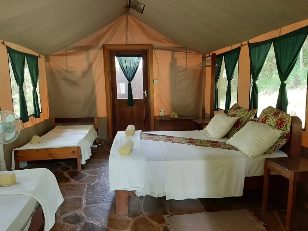 Uduzungwa Mountain national Park