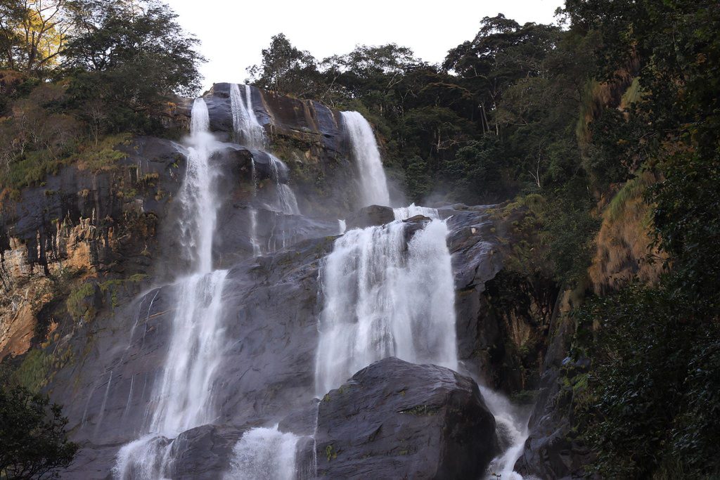 Uduzungwa Mountain national Park