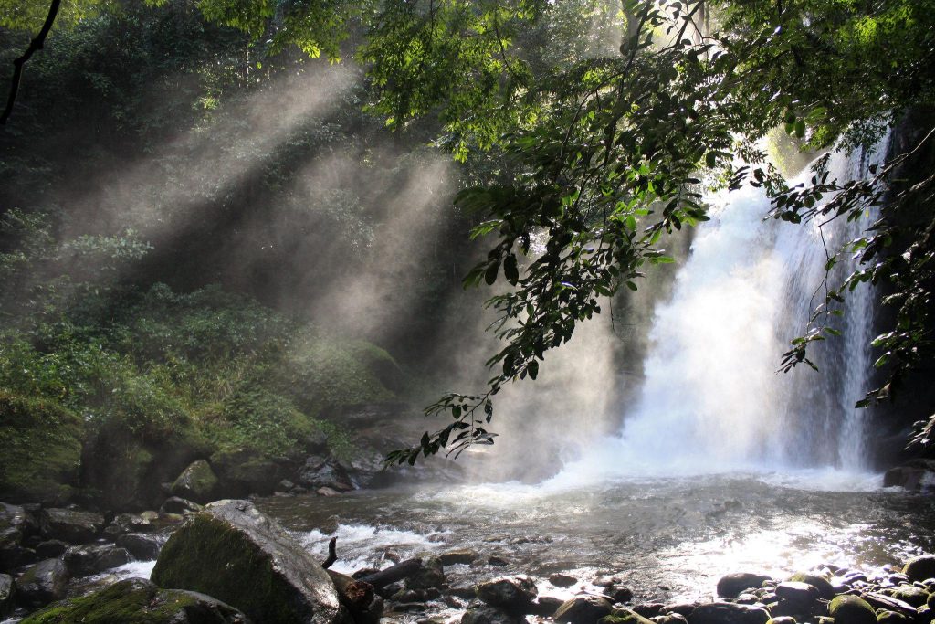 Uduzungwa Mountain national Park
