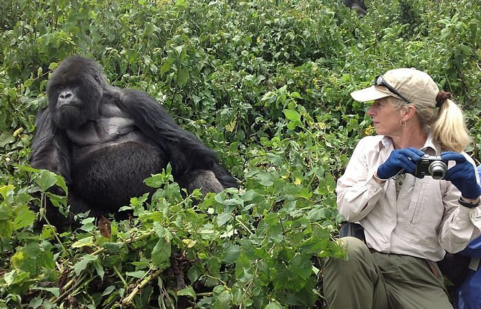 Bwindi impenetrable