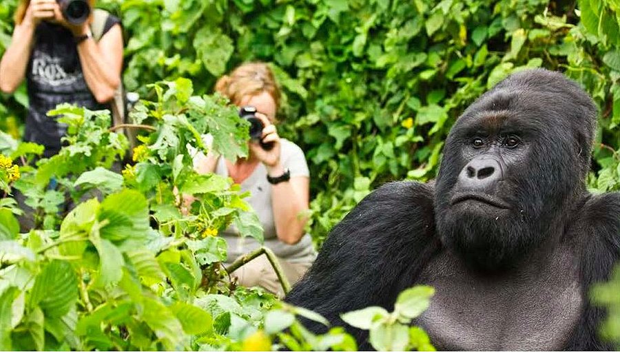 Travel Africa explore Uganda