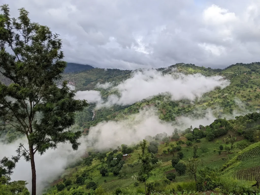Usambara Mountains