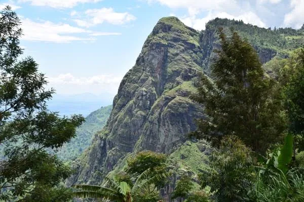 Usambara Mountains